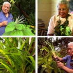 The Hawaiian Art of Healing TRANSCRIPT