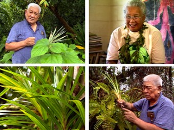 The Hawaiian Art of Healing