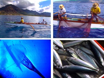 Hōkai Ua Lawai‘a Makapa‘a