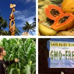 Islands at Risk – Genetic Engineering in Hawai‘i