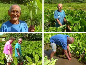 Nā Hulu Kūpuna – James Hueu, Jr.