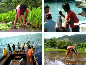 Today’s Maka‘āinana – The Fisherman and the Farmer