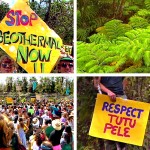 Wao Kele o Puna – Save the Rainforest